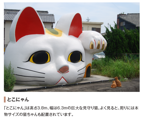 半田コース